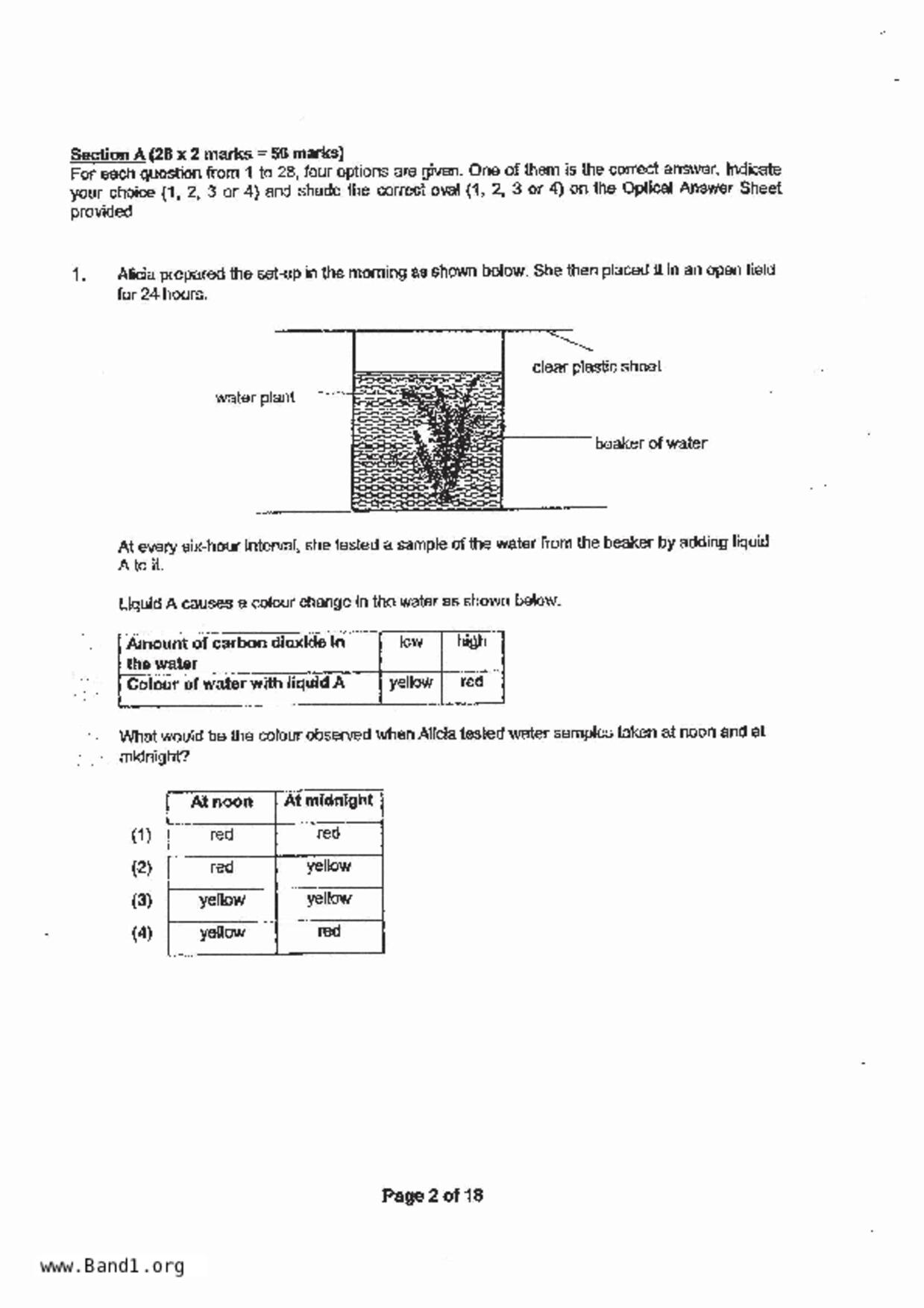 P6Science試卷