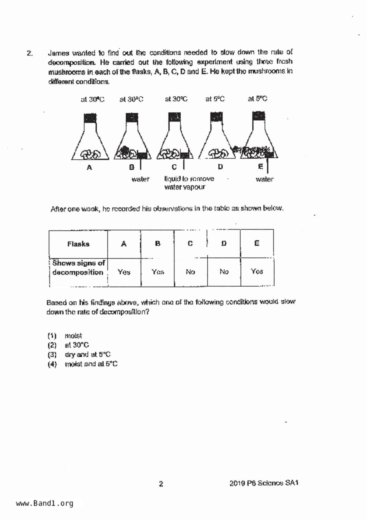 P6Science試卷