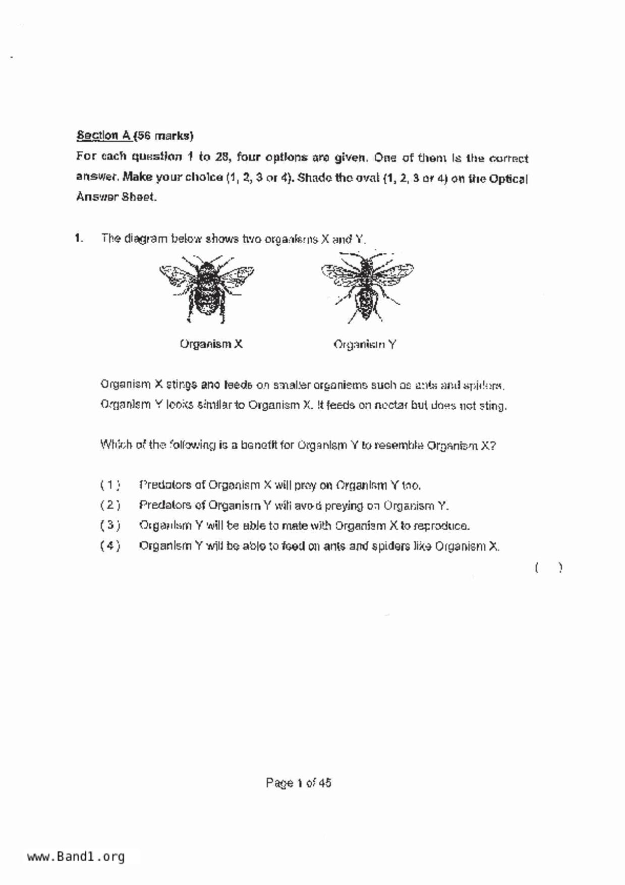 P6Science試卷
