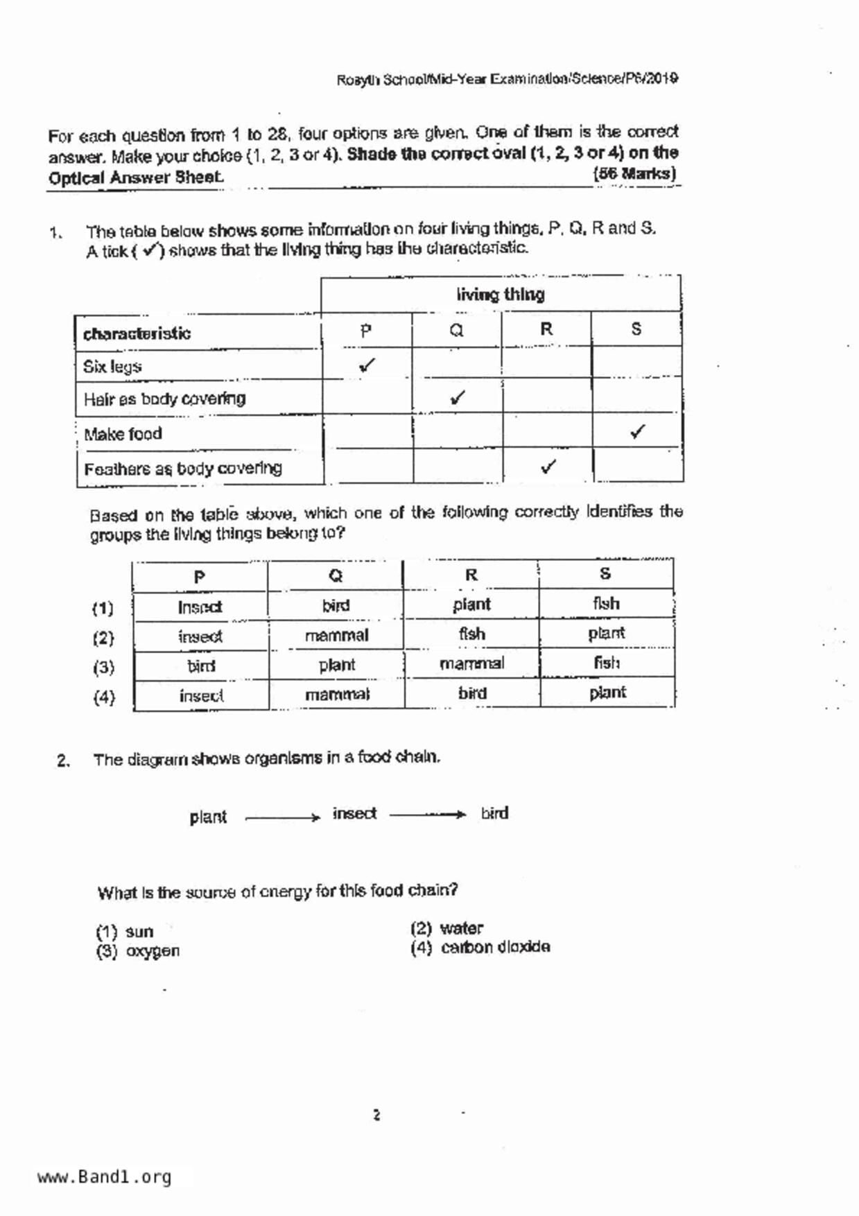 P6Science試卷