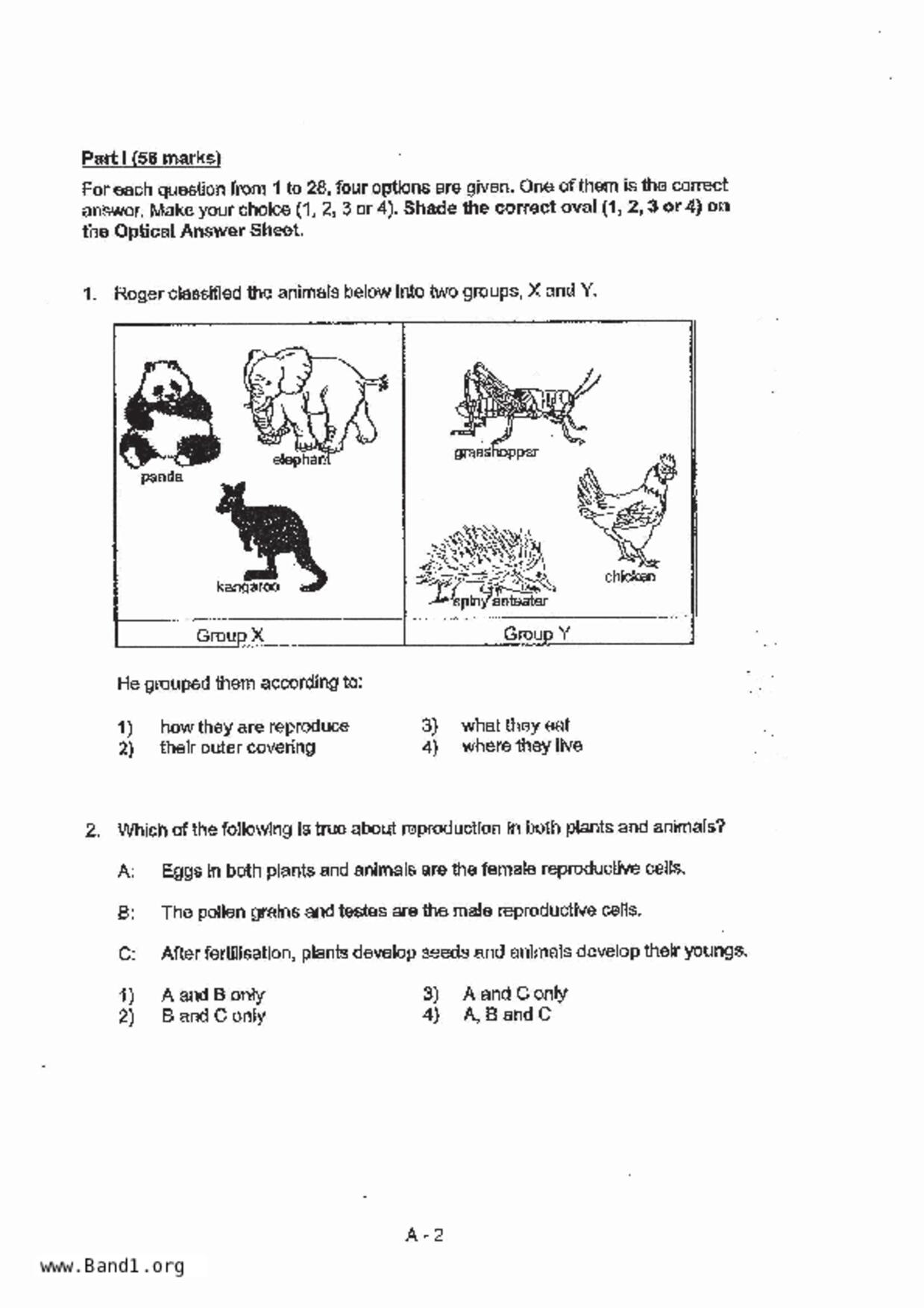P6Science試卷