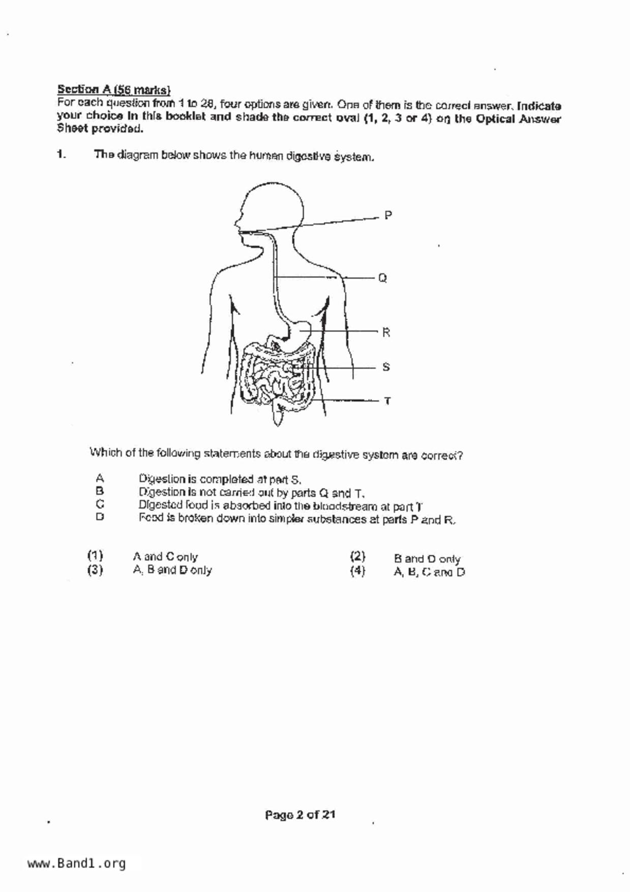 P6Science試卷