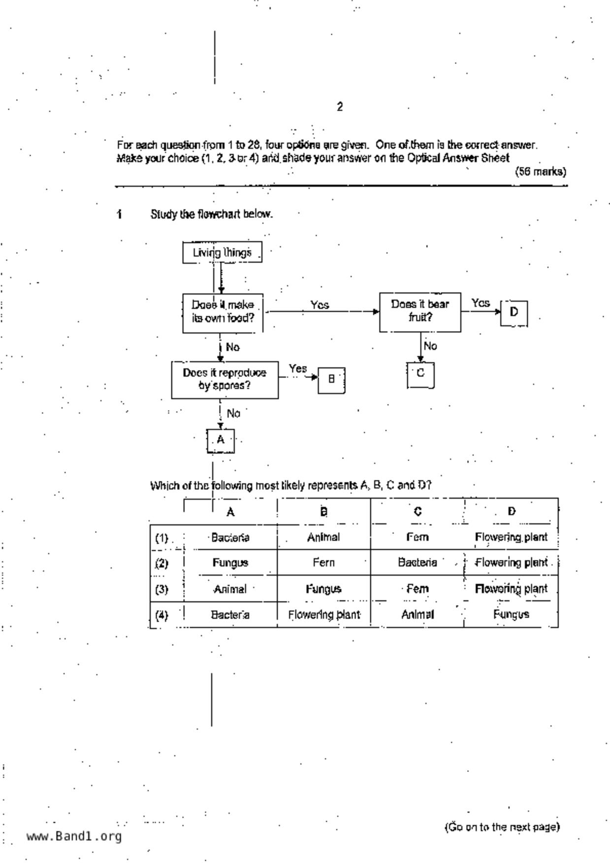 P6Science試卷