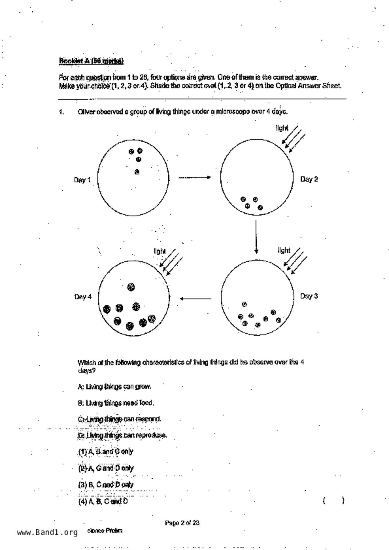 P6Science試卷