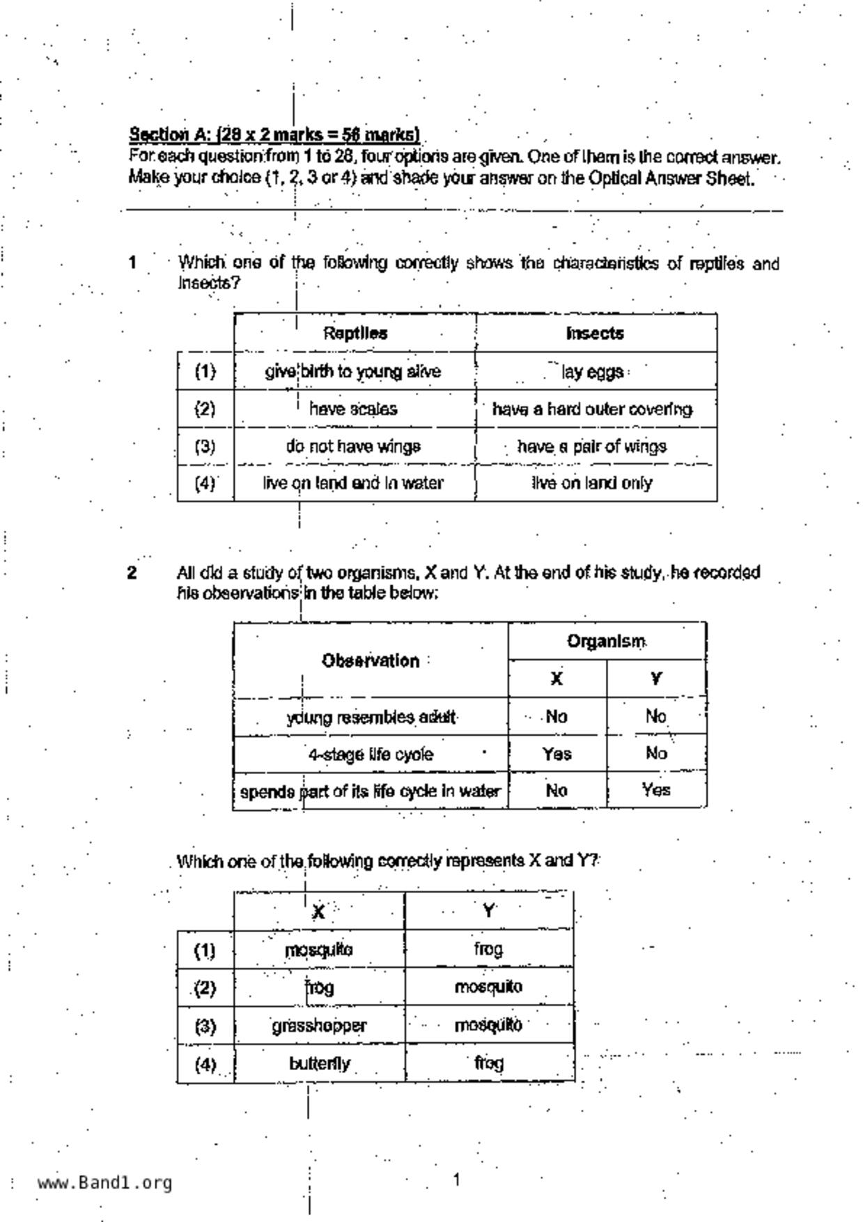 P6Science試卷