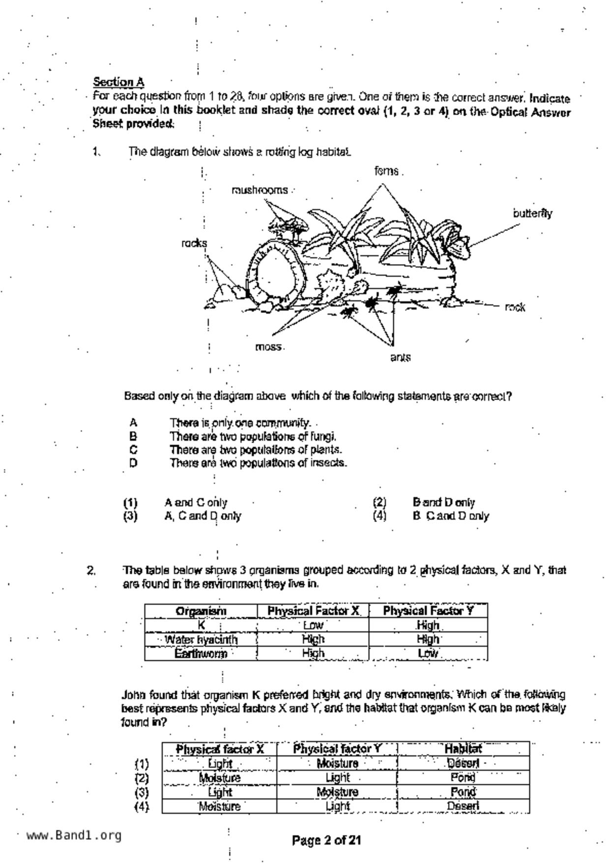 P6Science試卷