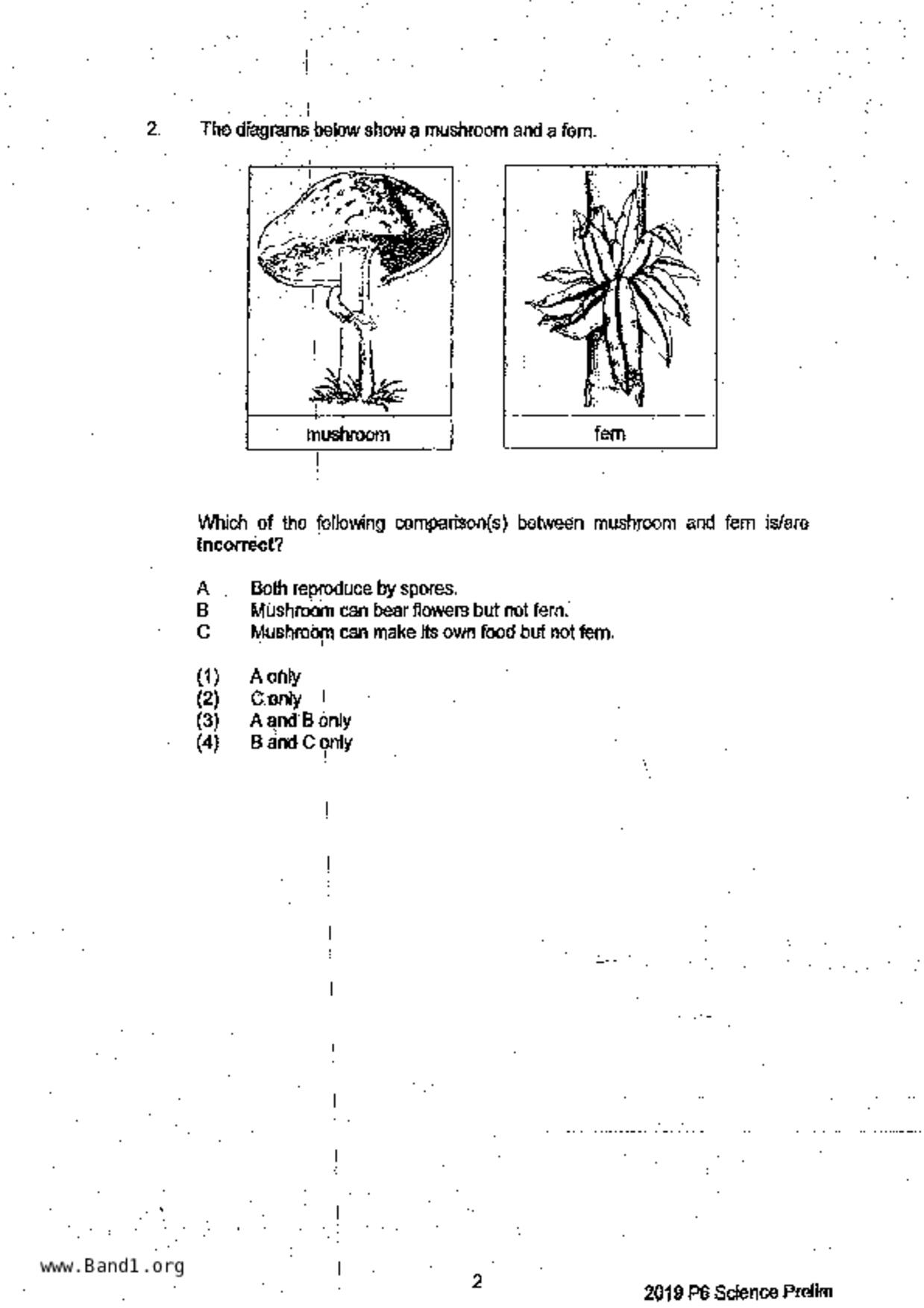 P6Science試卷