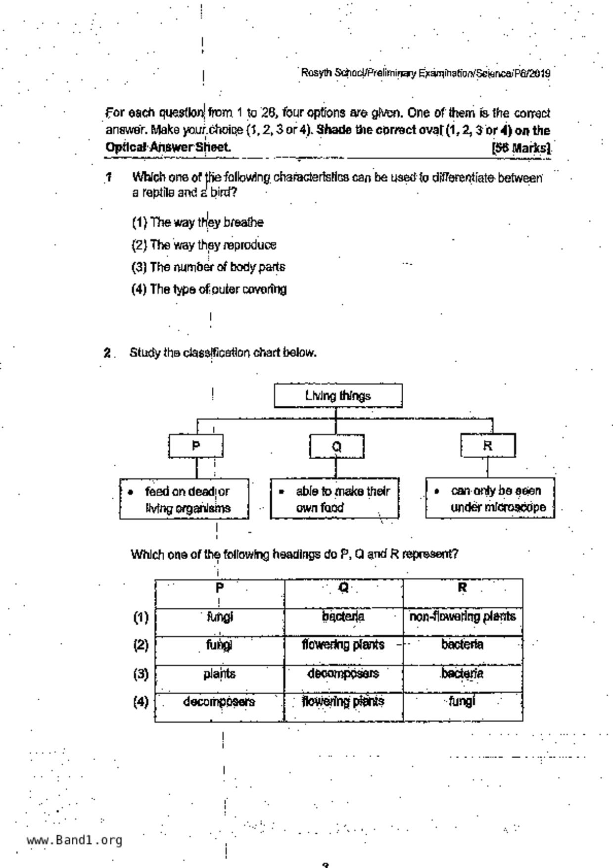 P6Science試卷