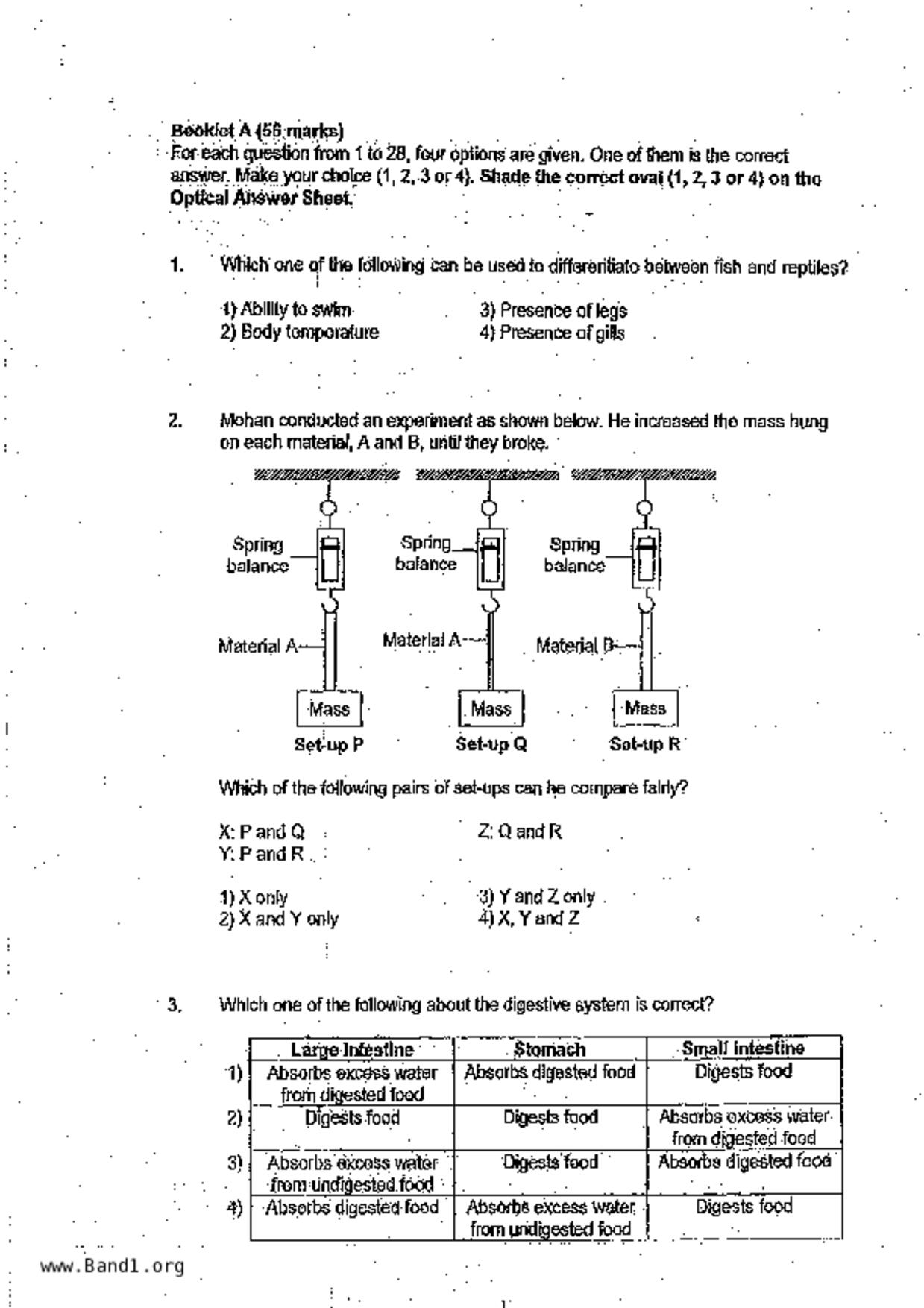 P6Science試卷
