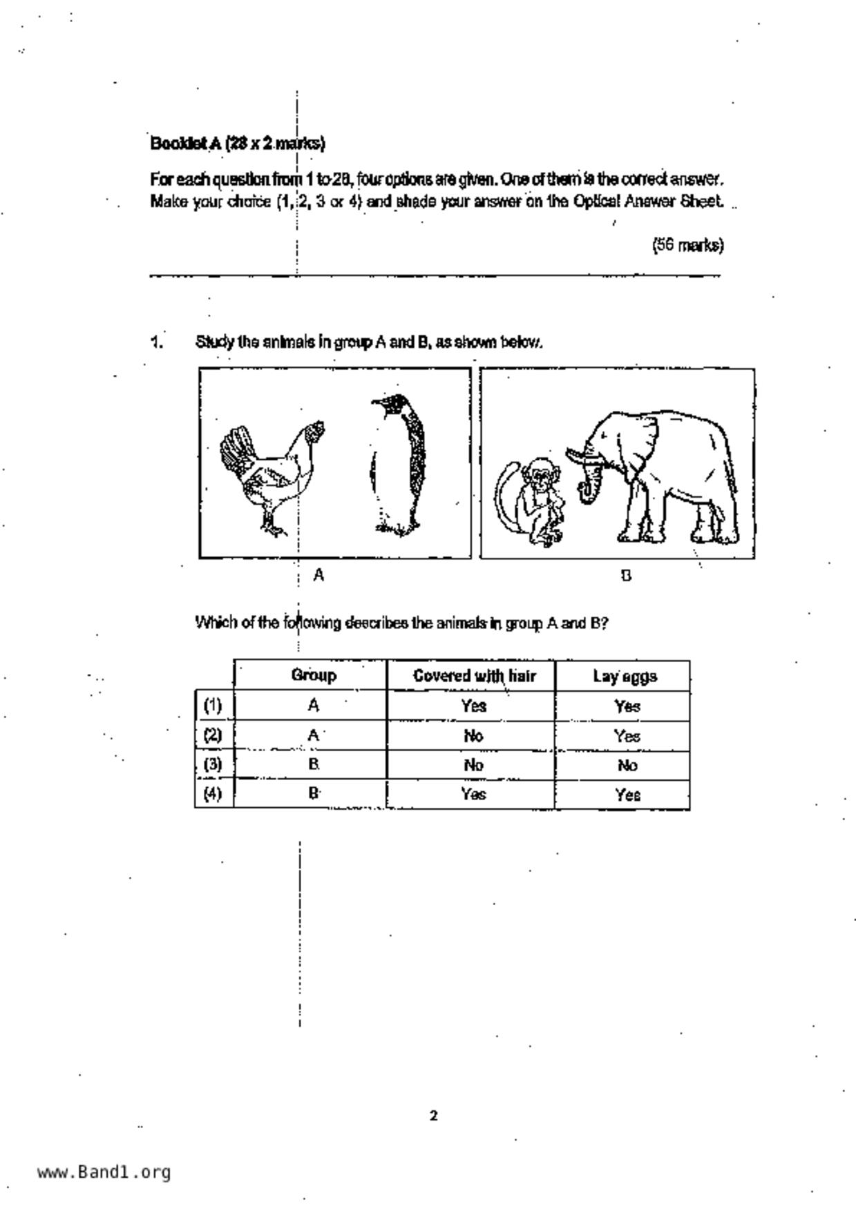P6Science試卷