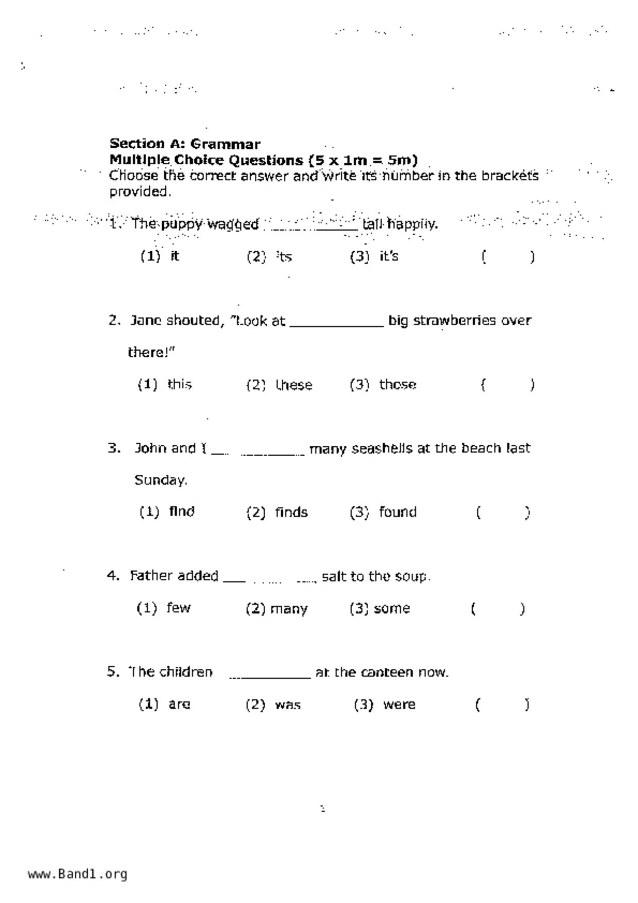 P1English試卷
