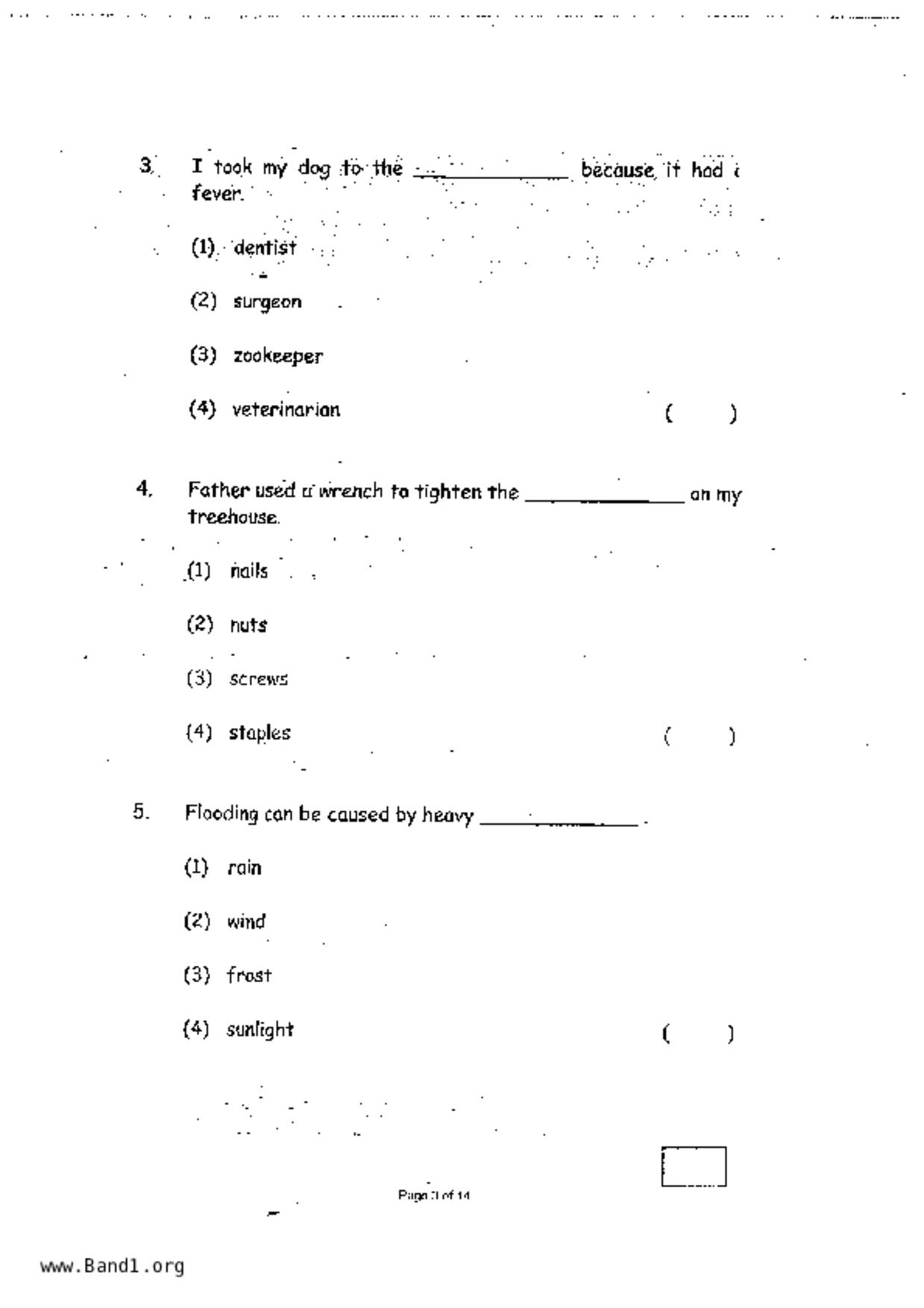 P2English試卷