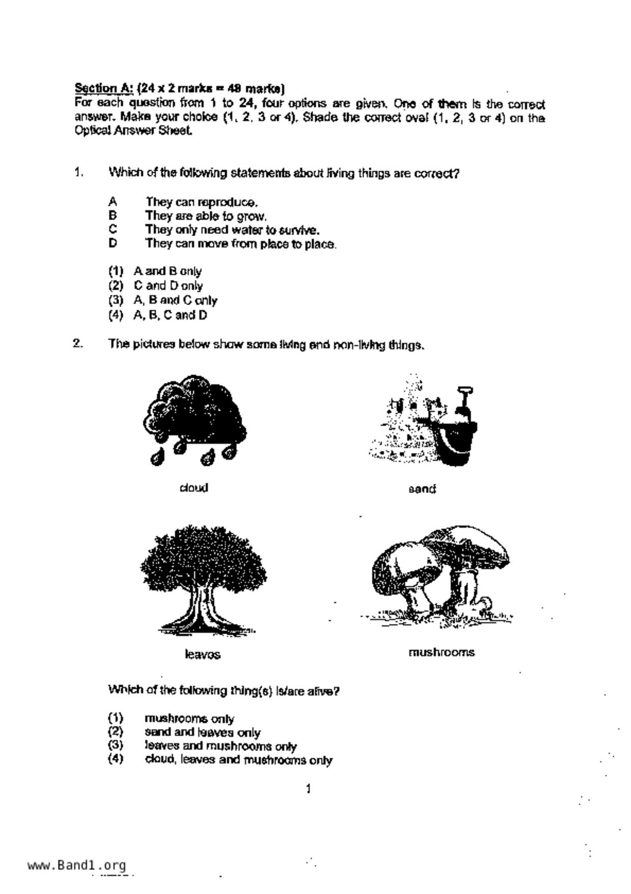 P3Science試卷