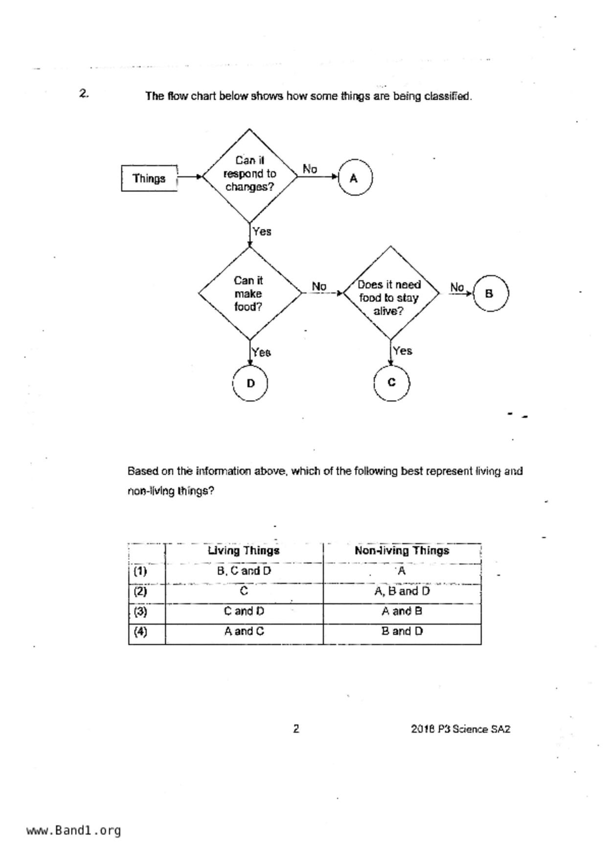P3Science試卷