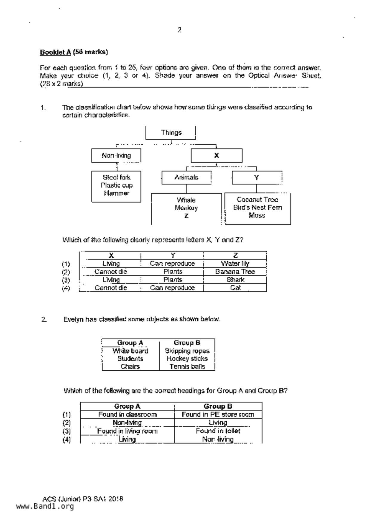 P3Science試卷