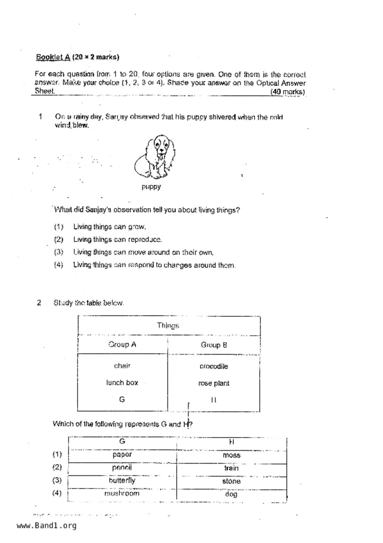 P3Science試卷