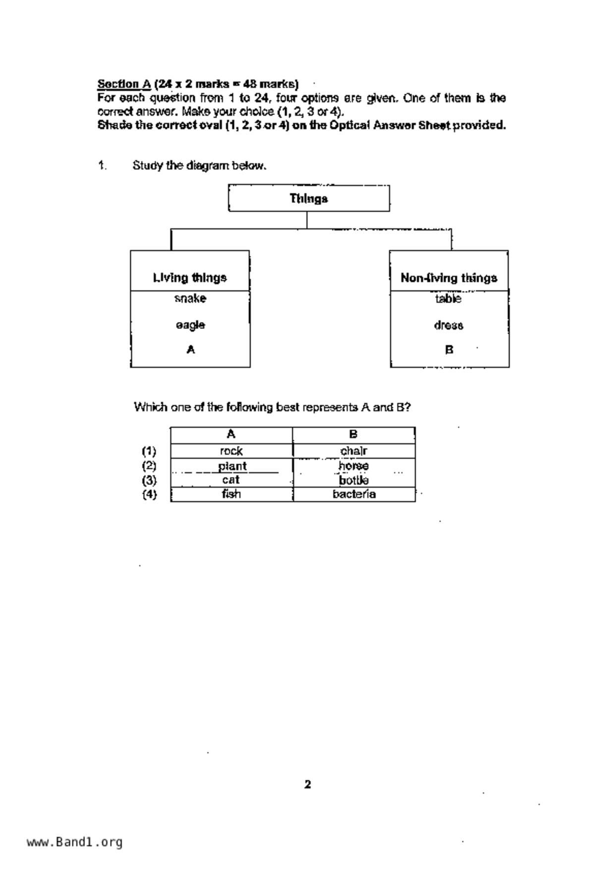P3Science試卷