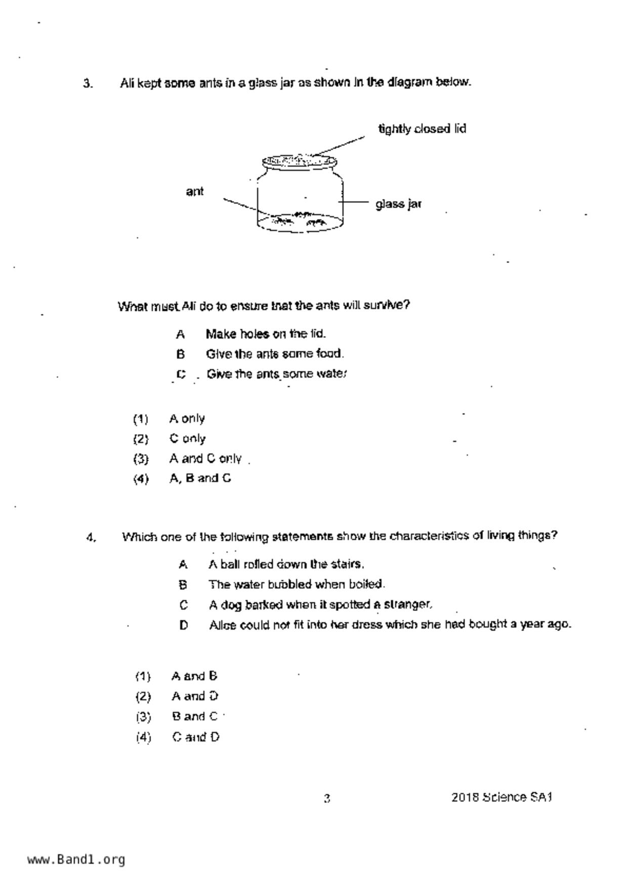 P3Science試卷