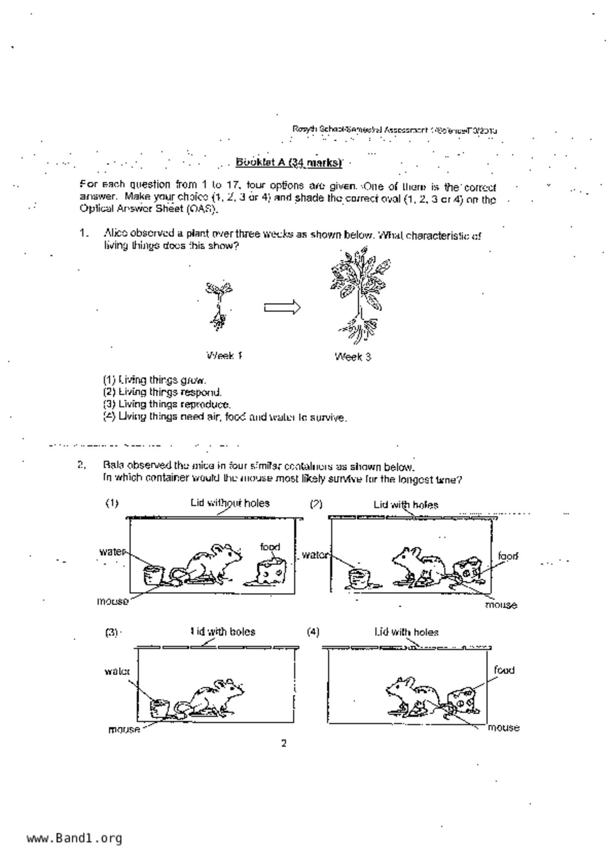 P3Science試卷