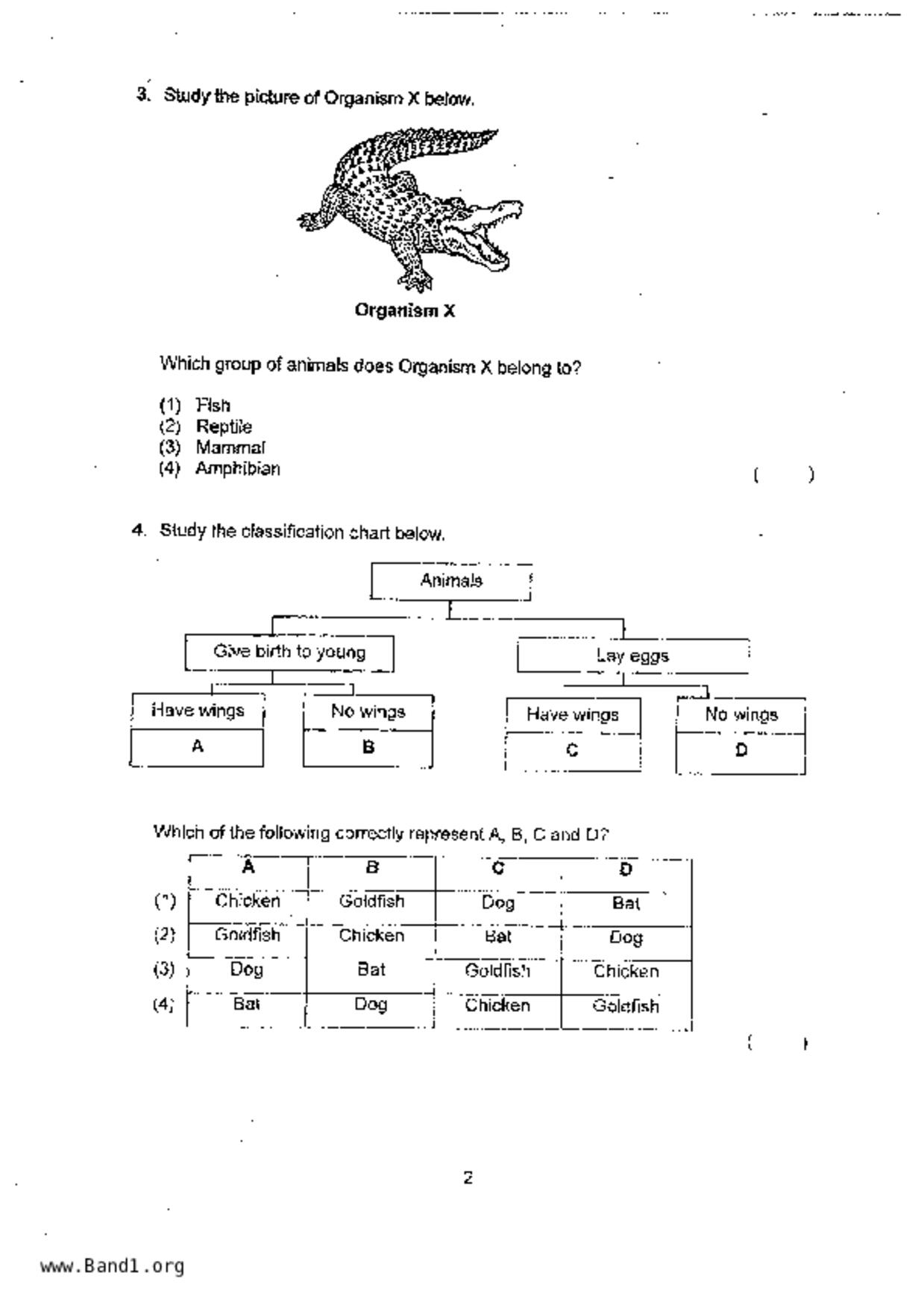 P3Science試卷
