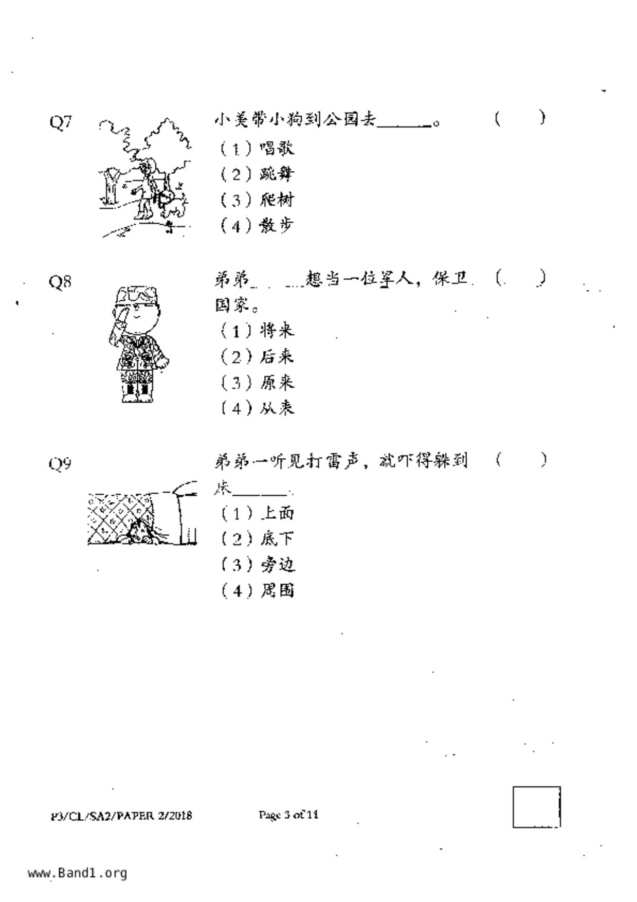 P3Chinese試卷