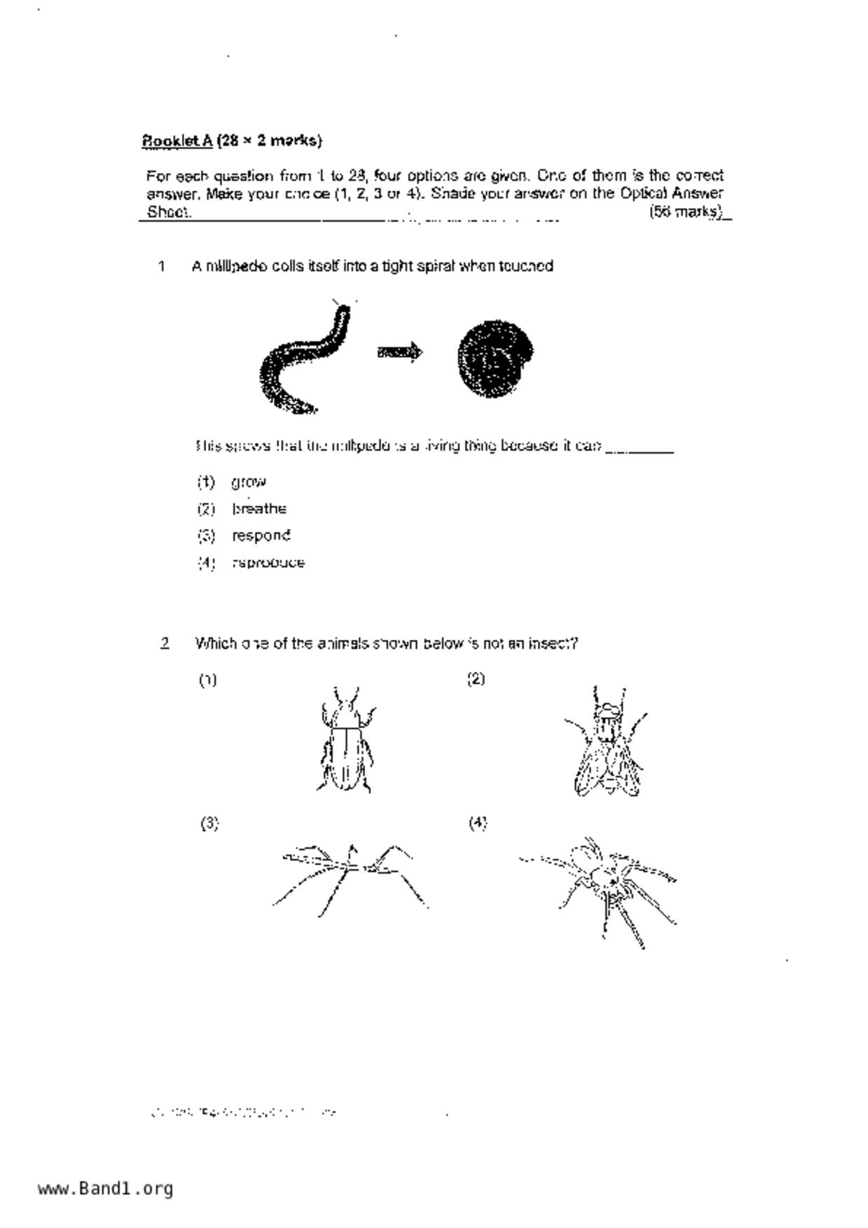 P4Science試卷
