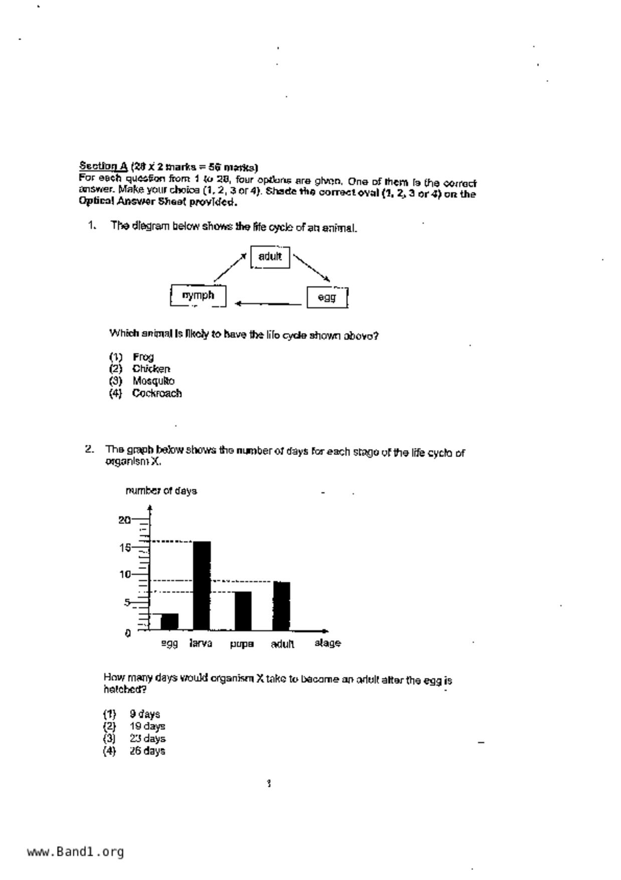 P4Science試卷