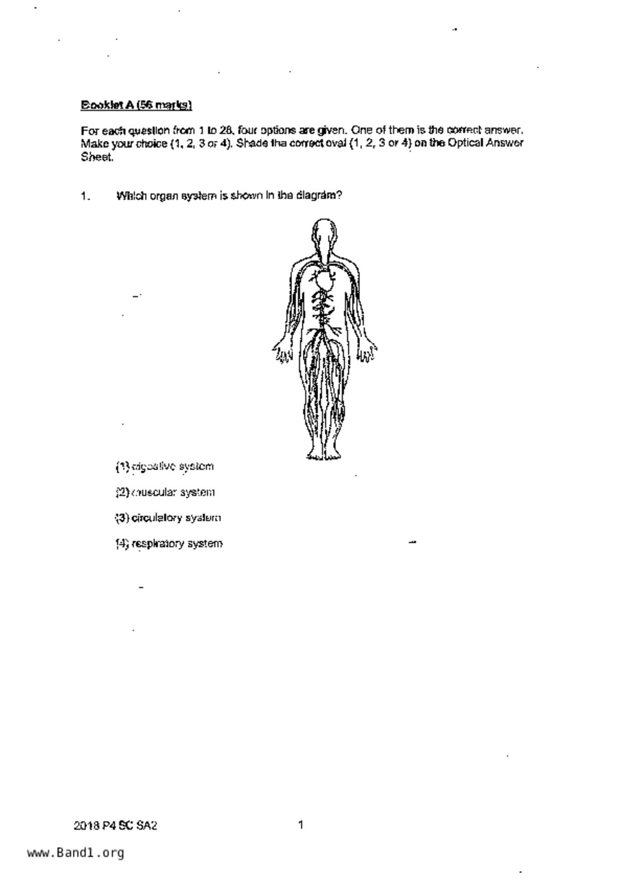 P4Science試卷