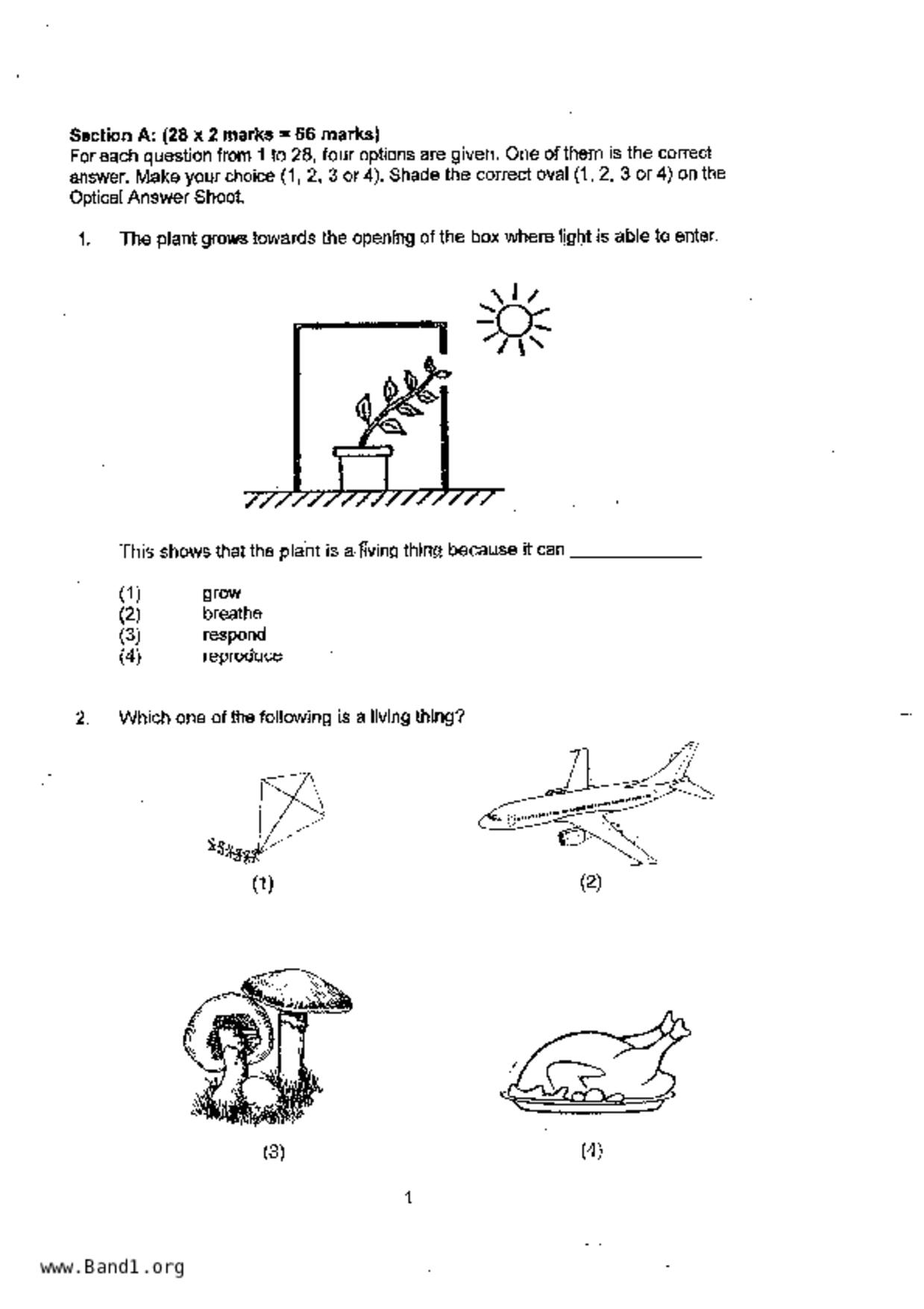 P4Science試卷