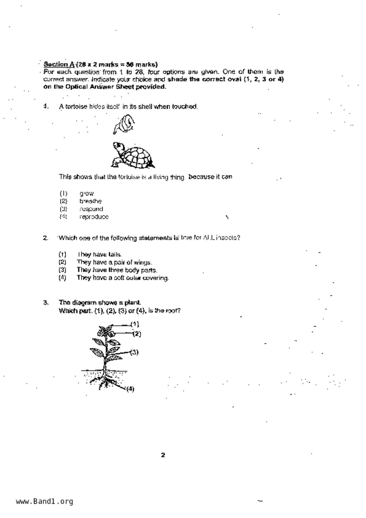 P4Science試卷