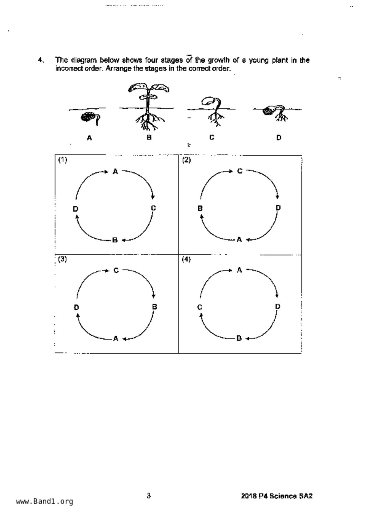 P4Science試卷