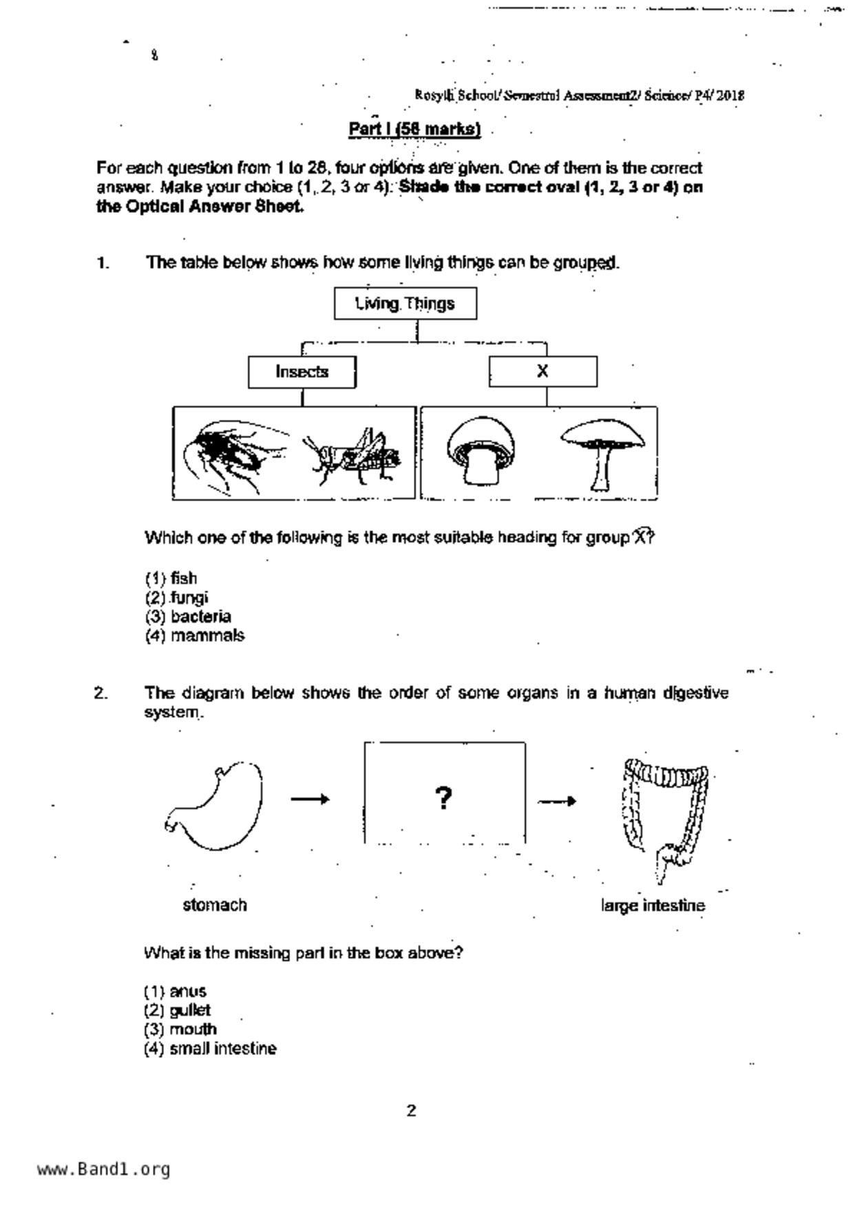 P4Science試卷