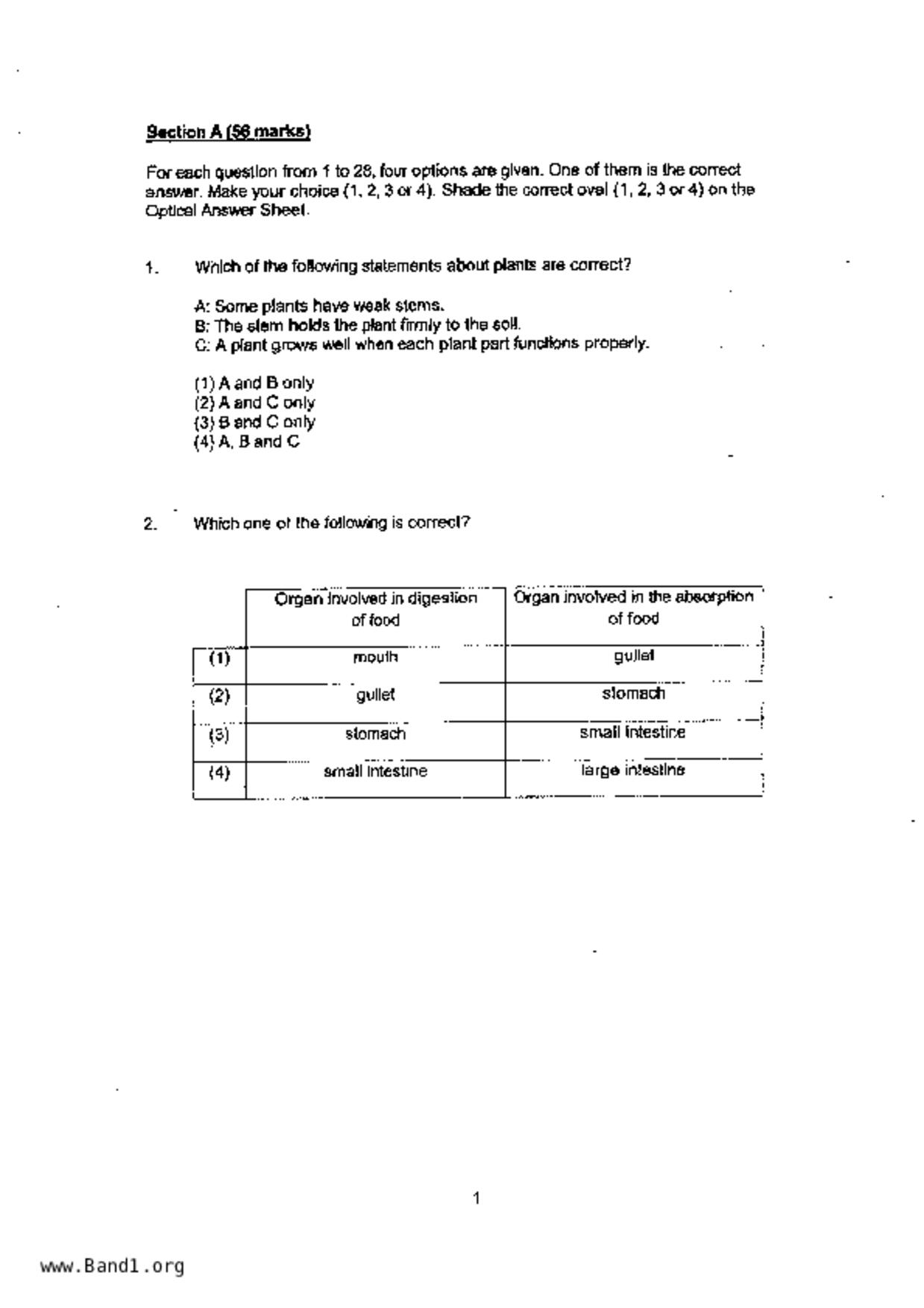 P4Science試卷