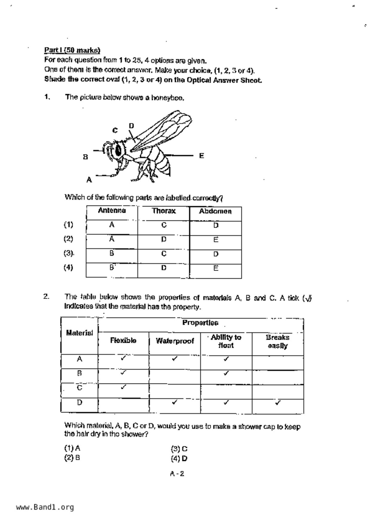 P4Science試卷