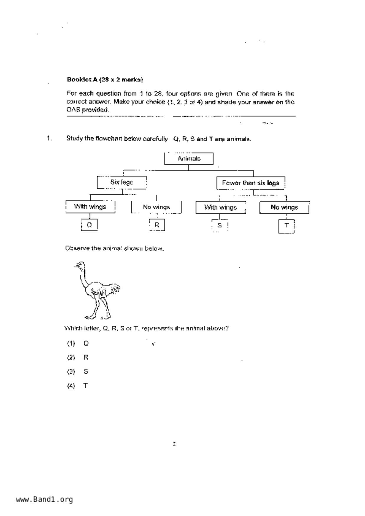 P4Science試卷
