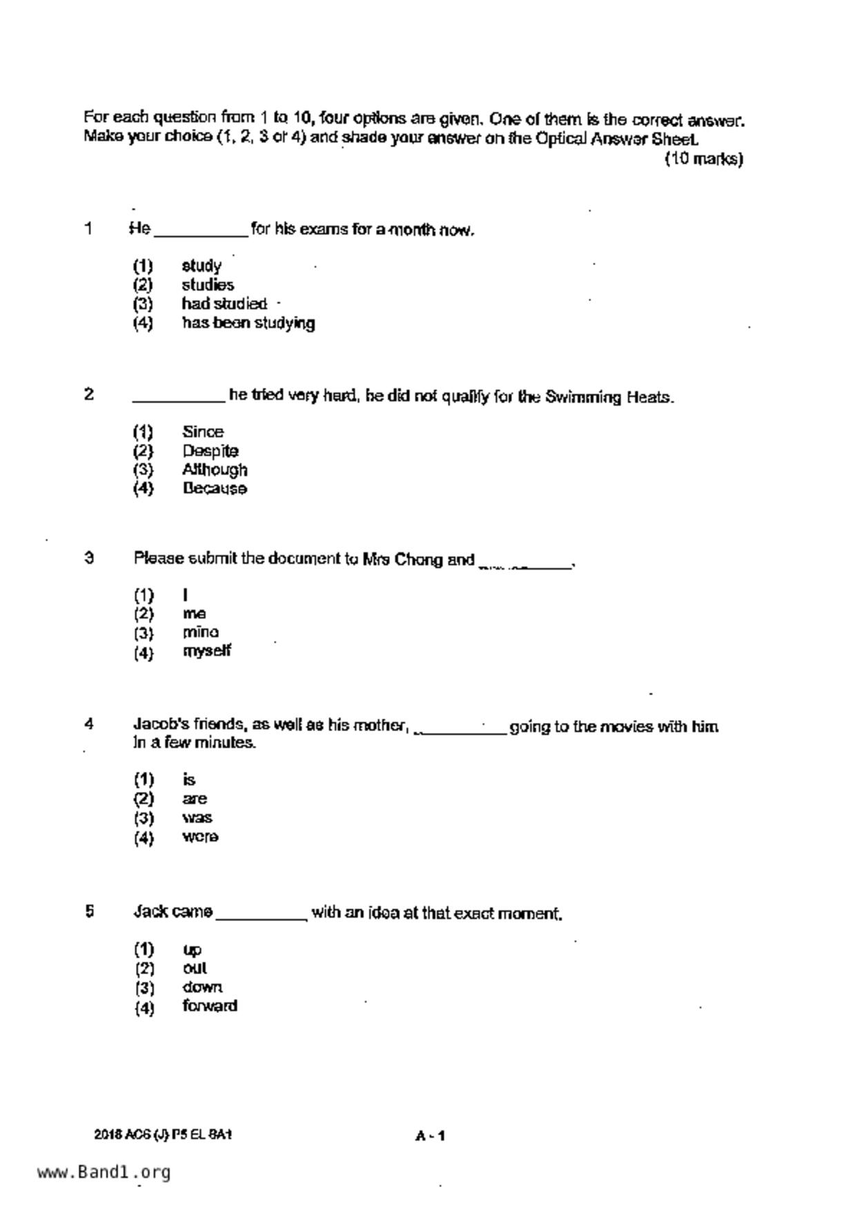 P5English試卷