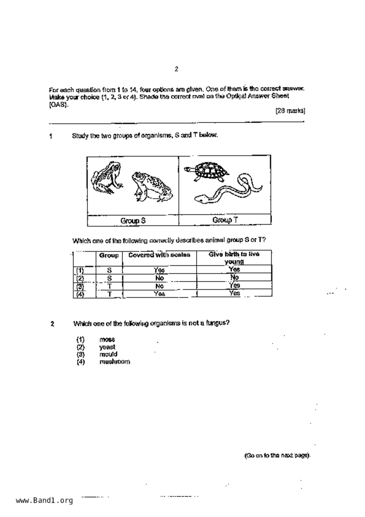 P5Science試卷