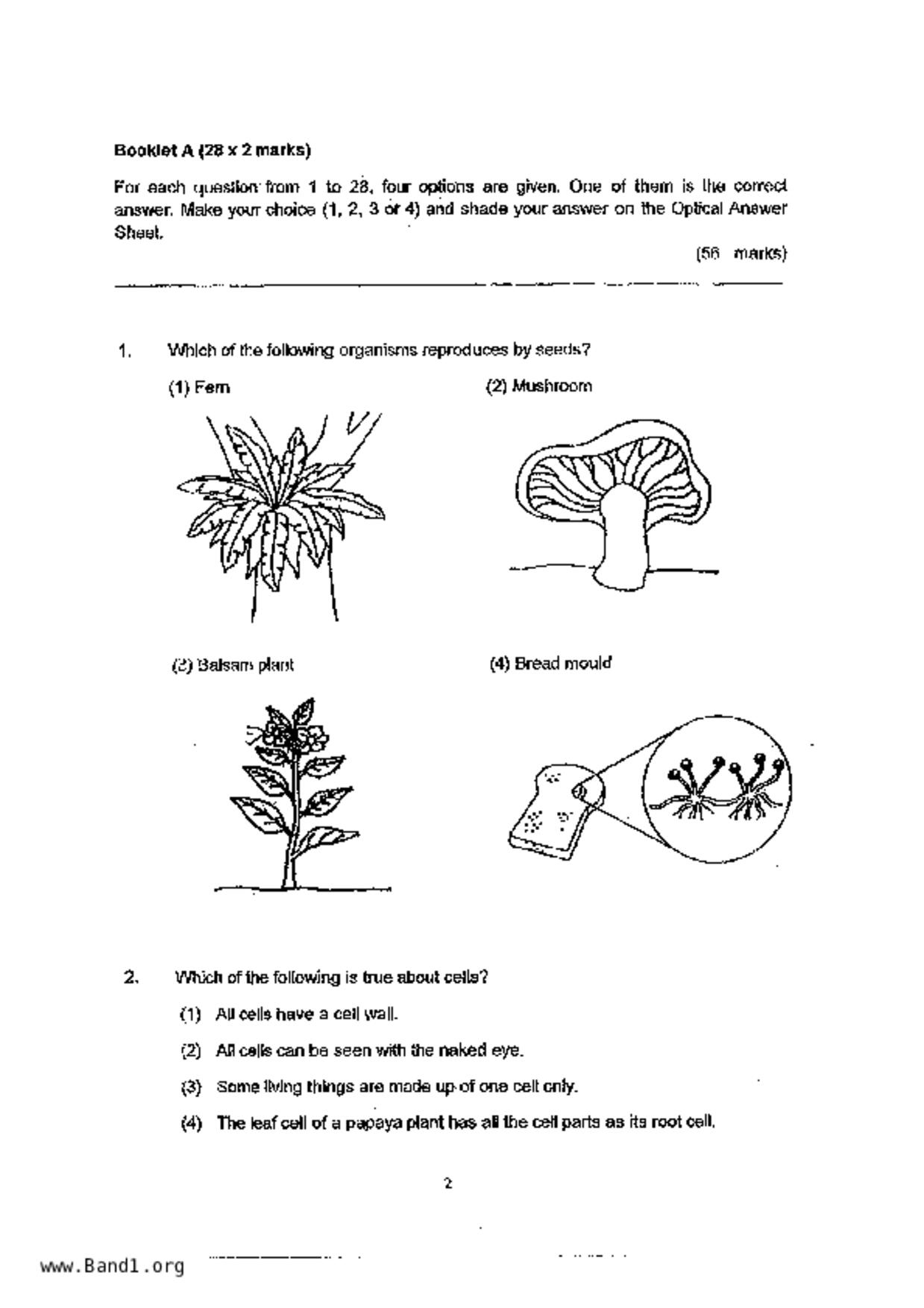 P5Science試卷