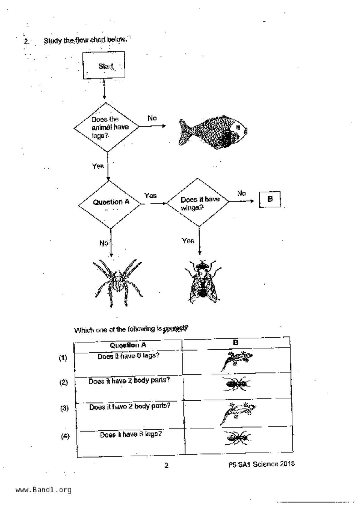 P5Science試卷
