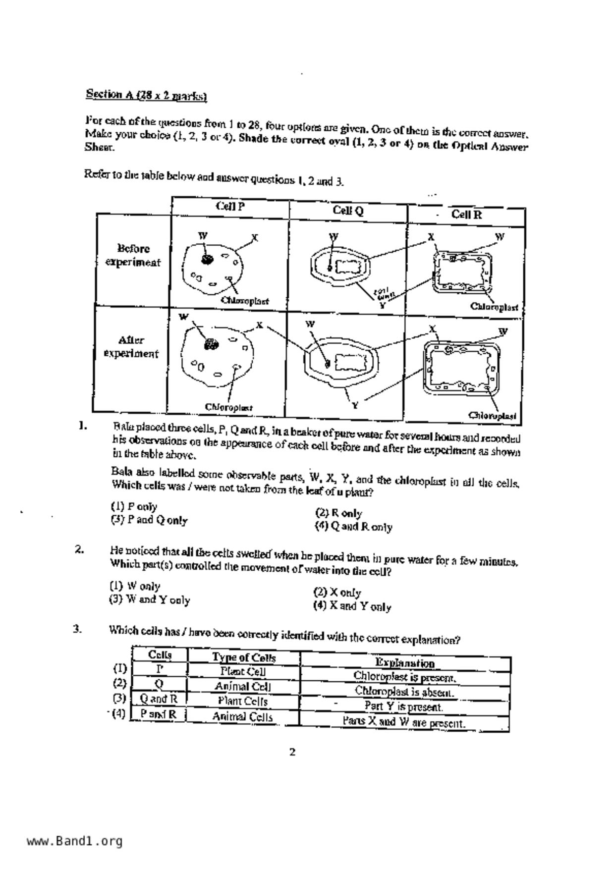 P5Science試卷