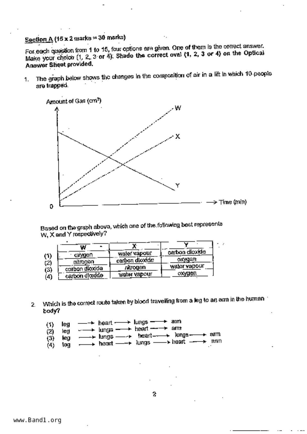 P5Science試卷
