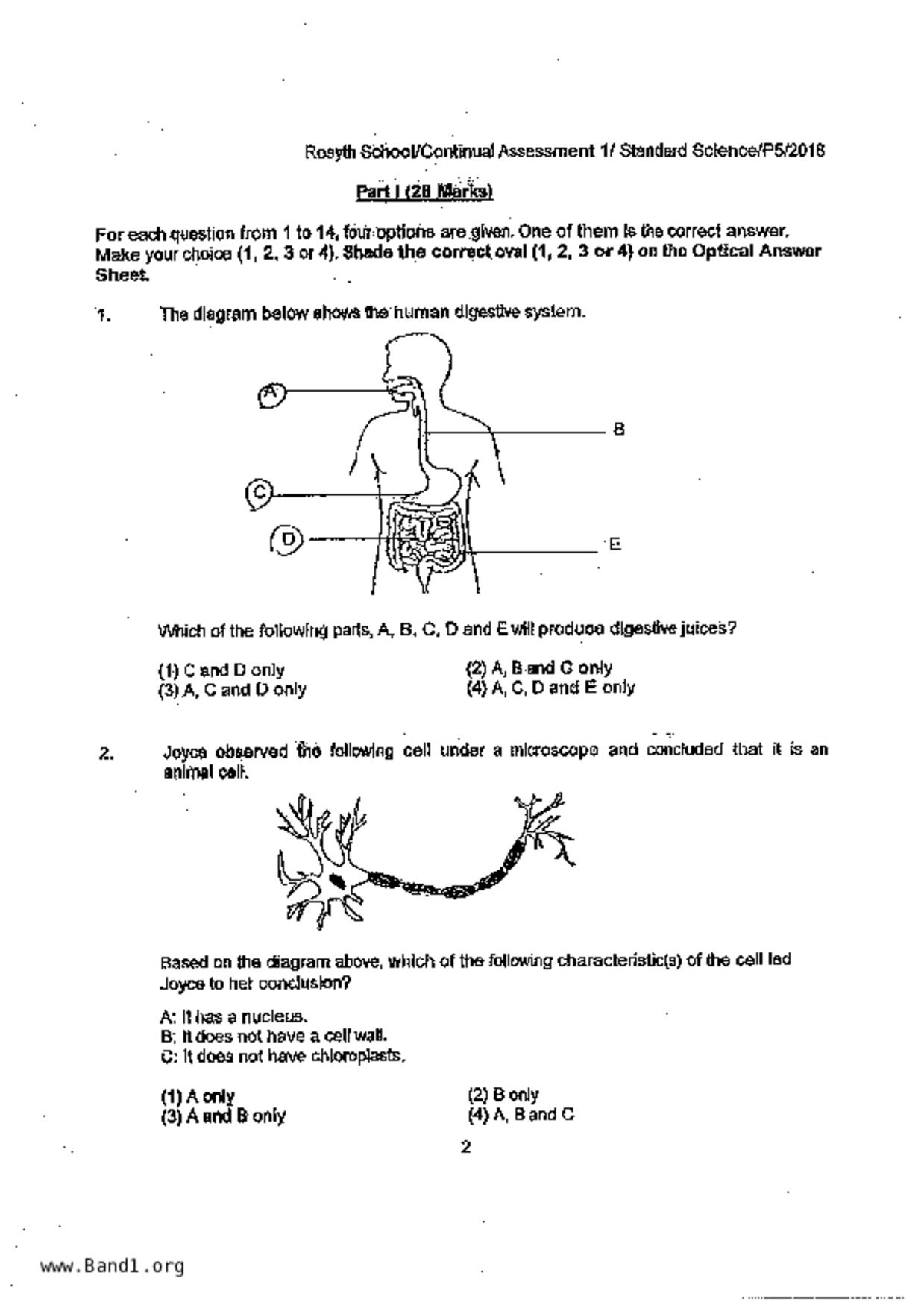 P5Science試卷