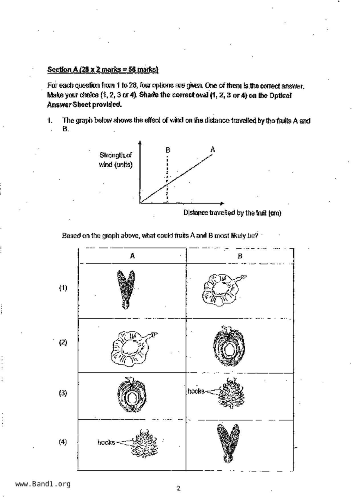 P6Science試卷
