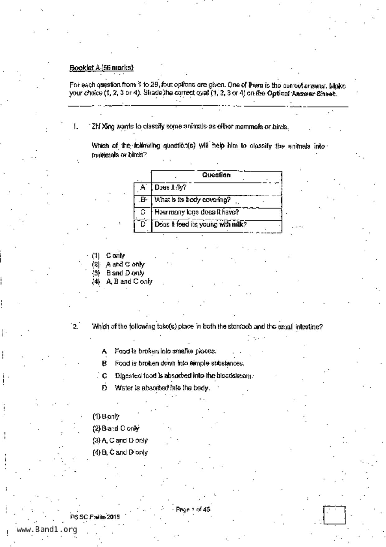 P6Science試卷