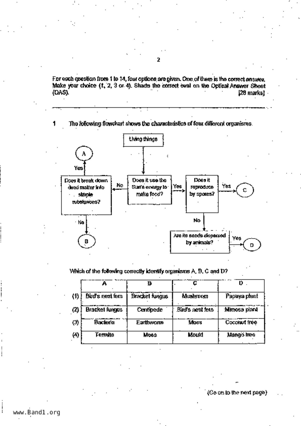 P6Science試卷