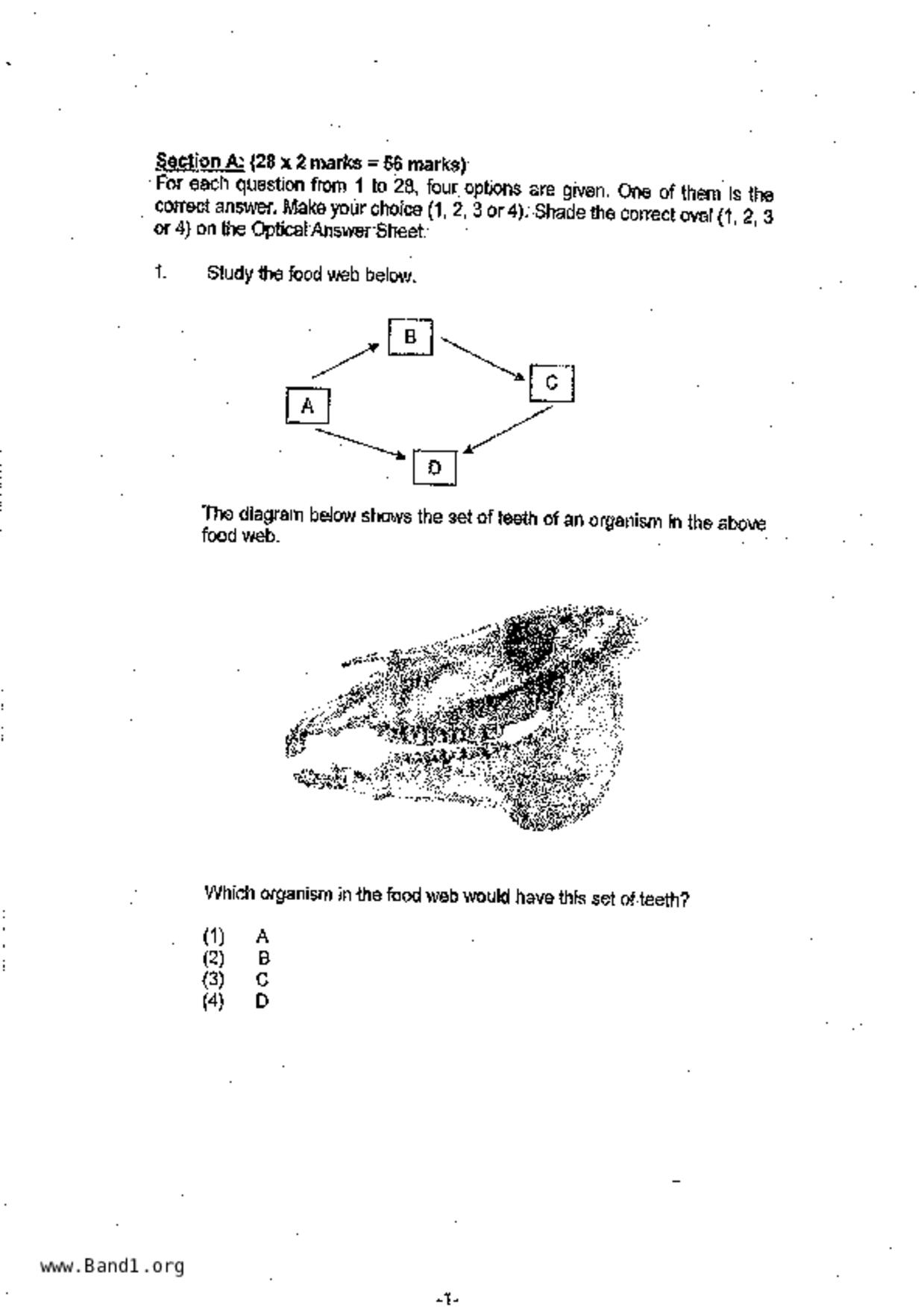 P6Science試卷