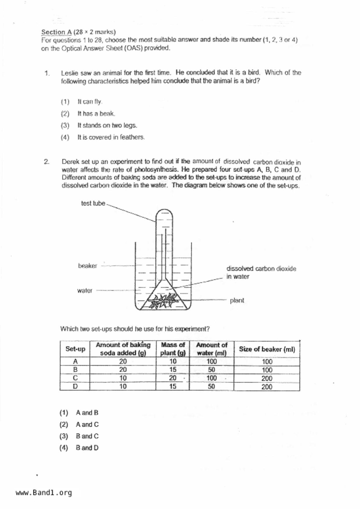 P6Science試卷