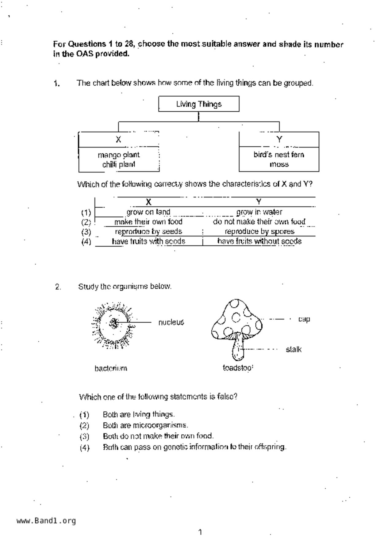 P6Science試卷