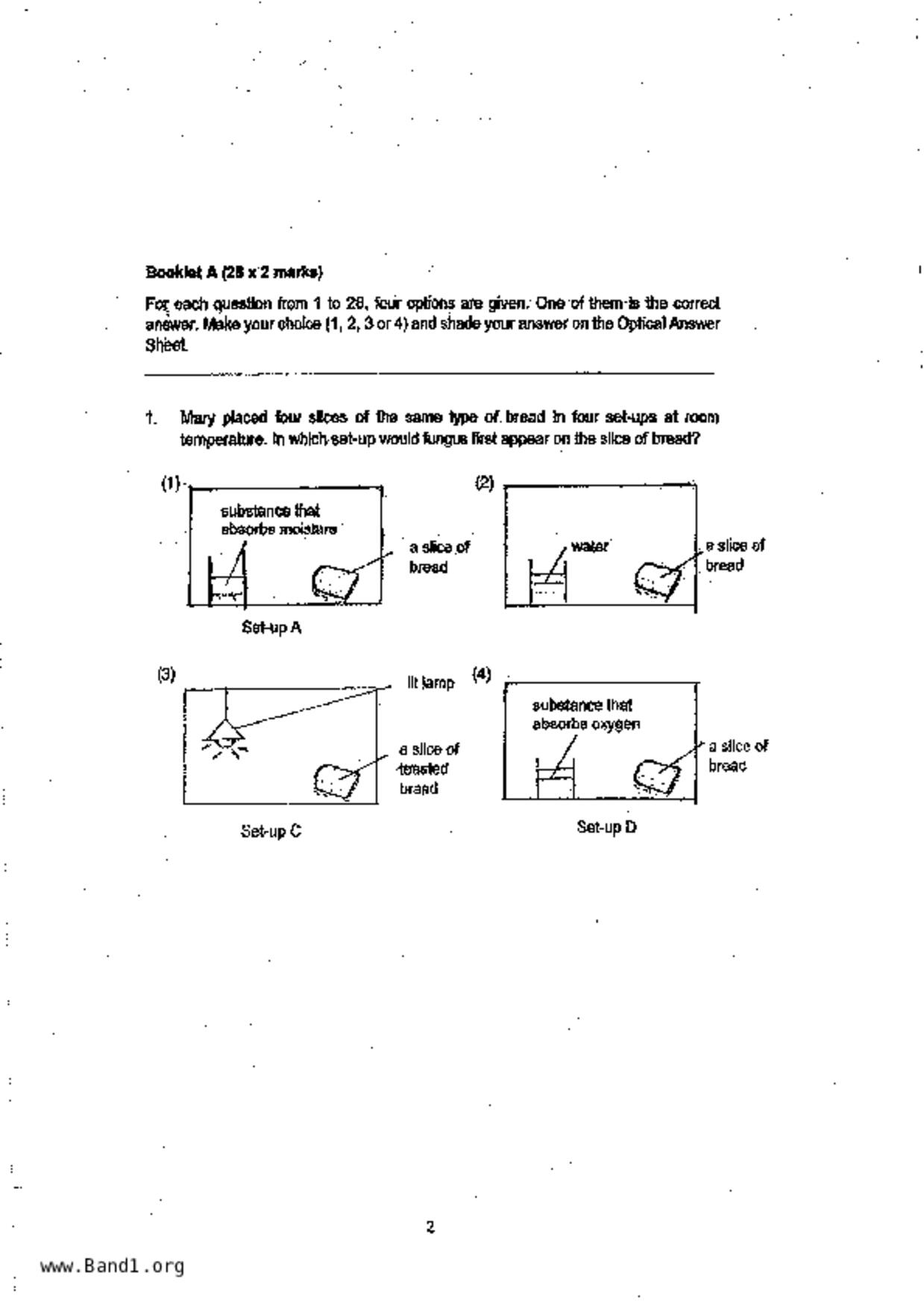 P6Science試卷