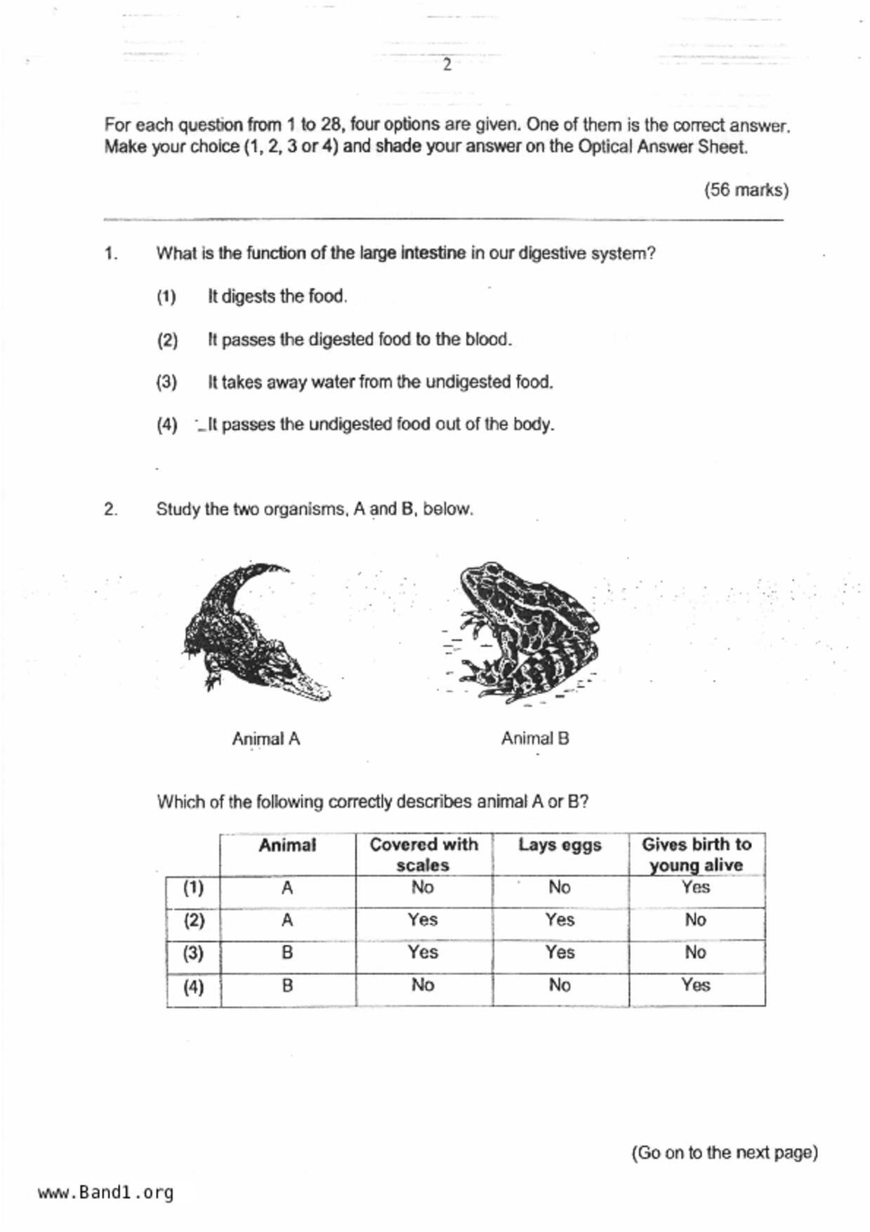 P6Science試卷